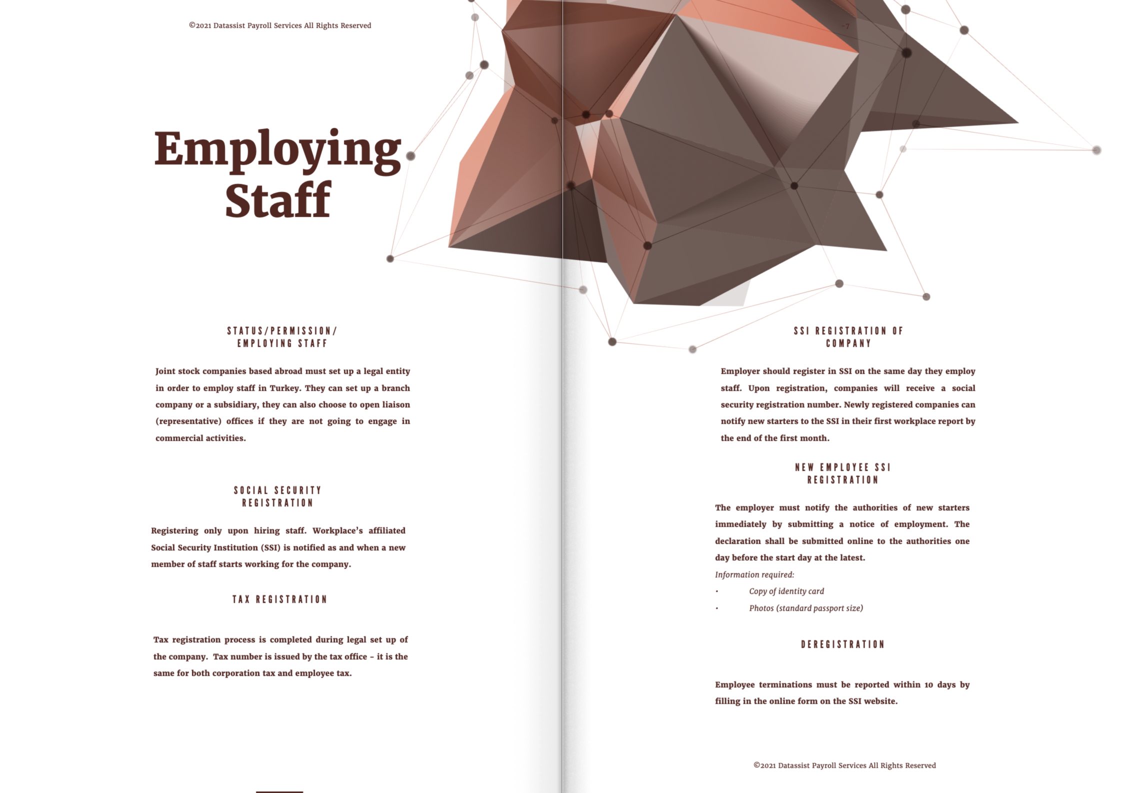 Datassist 2021 Factsheet'inden ekran görüntüsü