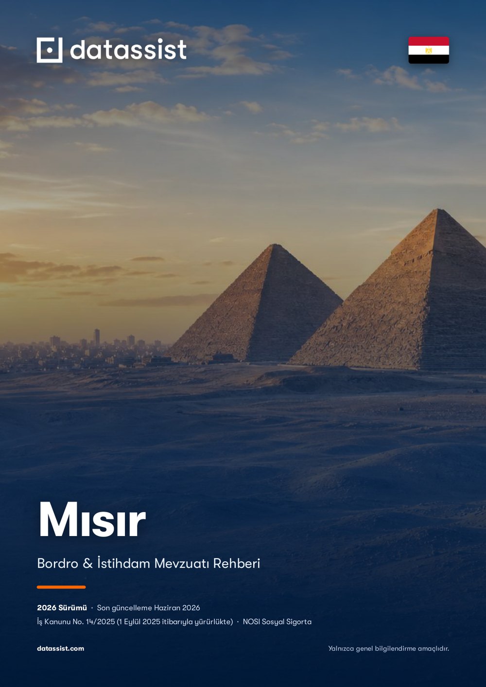 Mısır Bordro ve İstihdam Rehberi 2026 kapağı